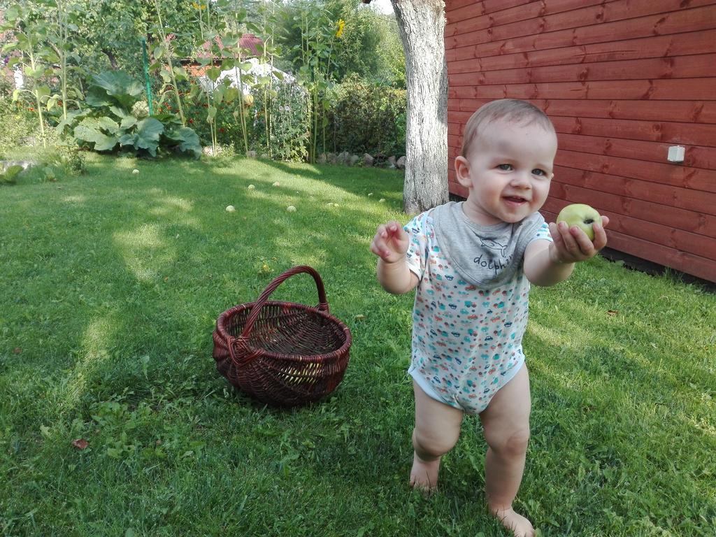 Agro-Tur Domki W Szuwarach Kuty Dış mekan fotoğraf