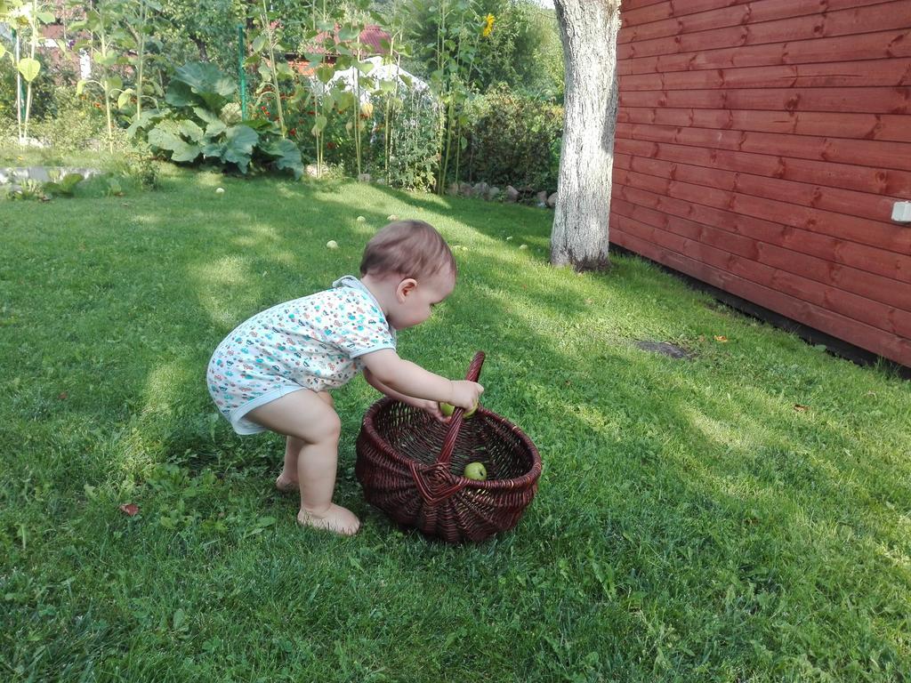 Agro-Tur Domki W Szuwarach Kuty Dış mekan fotoğraf