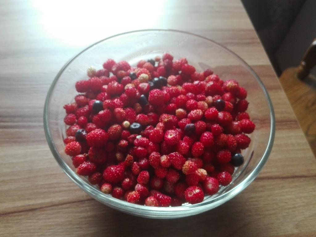 Agro-Tur Domki W Szuwarach Kuty Dış mekan fotoğraf