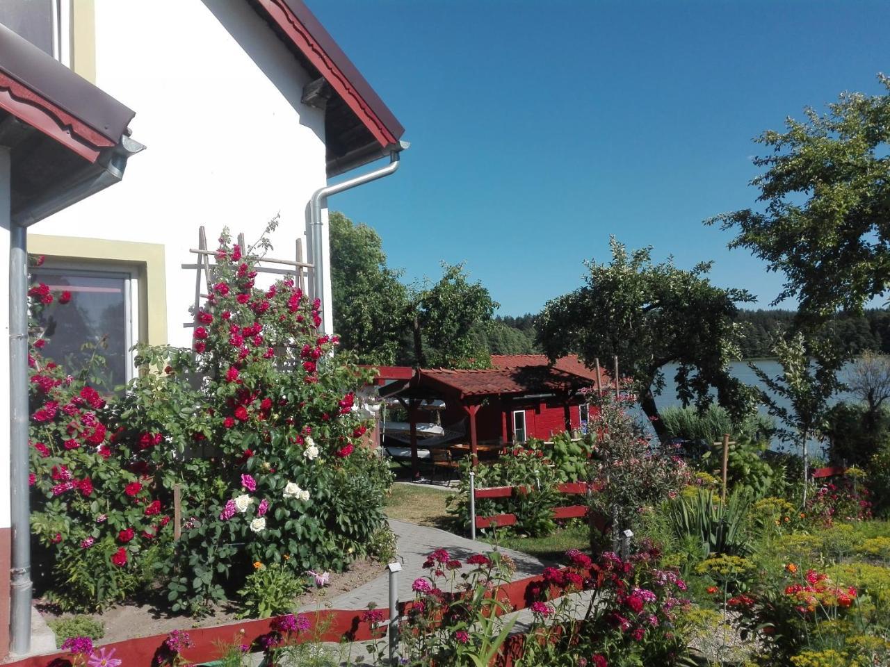 Agro-Tur Domki W Szuwarach Kuty Dış mekan fotoğraf